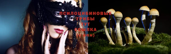 мяу мяу мука Волоколамск