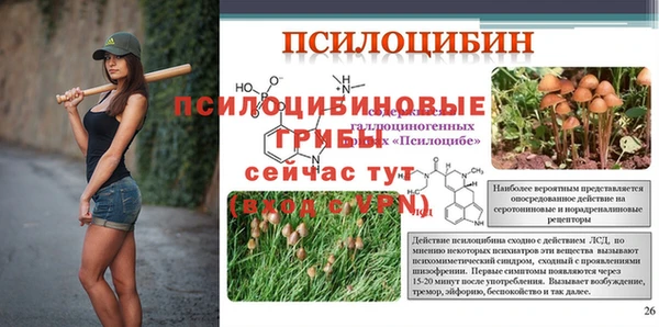 мяу мяу мука Волоколамск