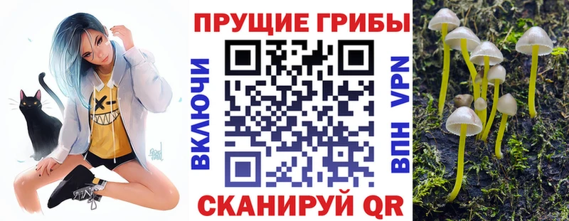 Купить где  Ленинск  Псилоцибиновые грибы ЛСД 
